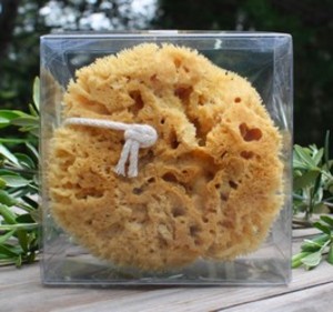 Natural sponge